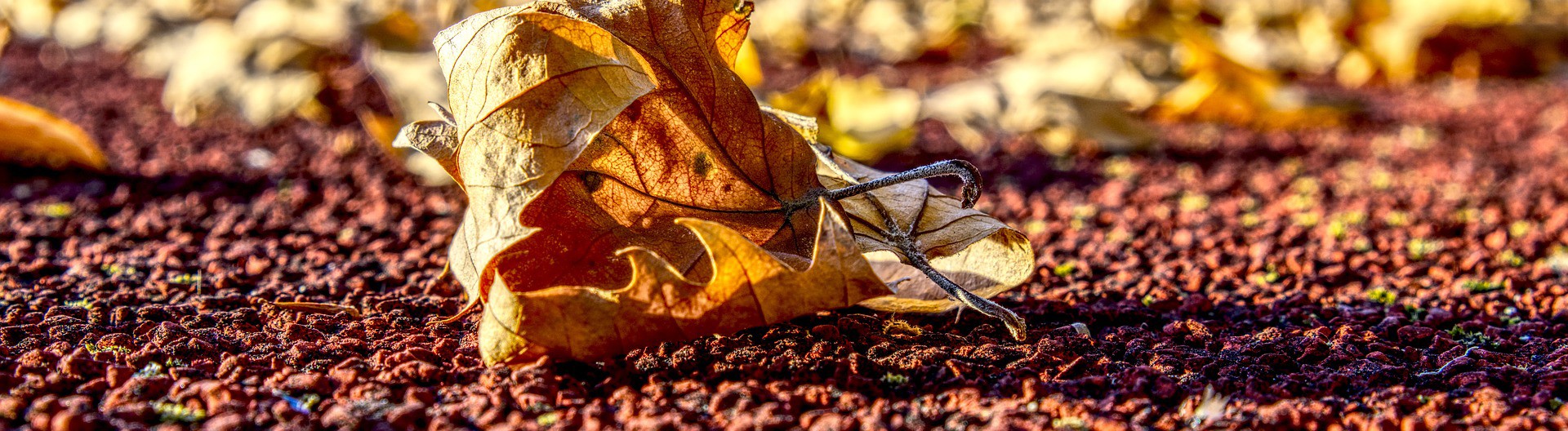 Bienvenue sur le site Green Online